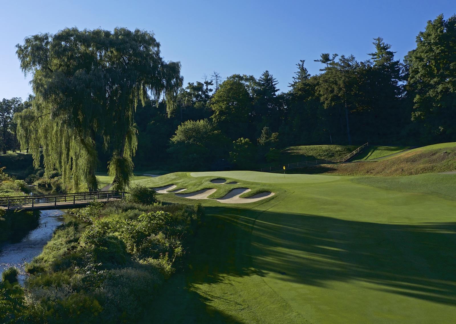 4_green_and_bridge_backlit-DJI_0335